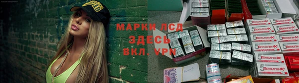 дмт Алзамай