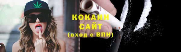 соль ск Алексин
