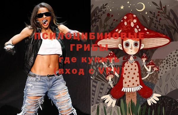 дмт Алзамай